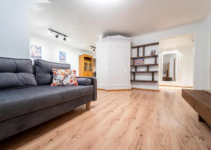 Dzirnavu Central Apartament