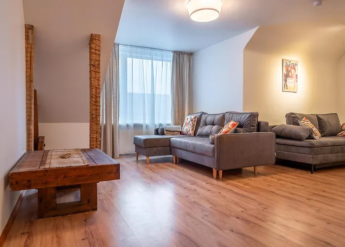Dzirnavu Central Apartament